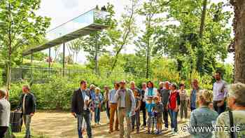 Wittenberg bietet Baumpatenschaften an - Mitteldeutsche Zeitung