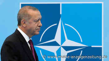 Erdogan-Politiker: Skandinavier „auf Knien“ – Zeitungs-Eklat schlägt Wellen bis zu Schwedens Außenministerin