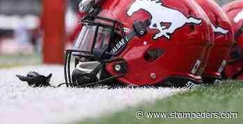 Brendan Langley Suspended Indefinitely - stampeders.com