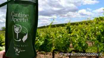 Cantine Aperte, i luoghi da visitare in provincia di Modena - ModenaToday