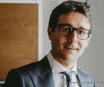 European Flour Millers, Francesco Vacondio (Molini ind. Modena) eletto presidente. Rappresenta 3.800 molini in Europa - Agricultura.it