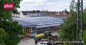 Bischofsheim: Hier soll investiert werden - Echo Online