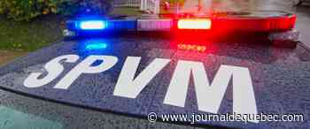 Traînée de force dans un boisé, étranglée et agressée: son présumé agresseur est arrêté