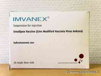 Cos’è Imvanex, il vaccino contro il vaiolo delle scimmie