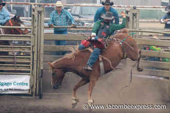 Stettler Steel Wheel Stampede returning for 13th edition in June - Lacombe Express