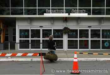 Victoria airport shutdown prompted by inert grenades, mischief charge expected: RCMP - Dawson Creek Mirror