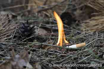 Planned burns in Dawson Creek fire zone - Dawson Creek Mirror