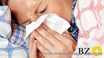 Braunschweiger Expertin: Corona + Influenza = Riesenproblem