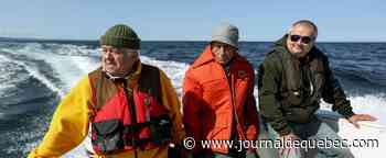 «Empress of Ireland»: des découvreurs d’épaves héroïques