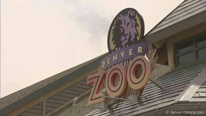 Denver Zoo Raises $50K To Help Zoos In Ukraine