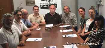 Consorzio Cinta Senese, Baruffaldi confermato alla presidenza - Siena News