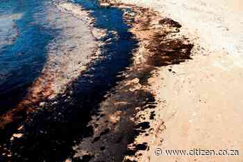 Authorities on high alert after oil spill in Algoa Bay - The Citizen