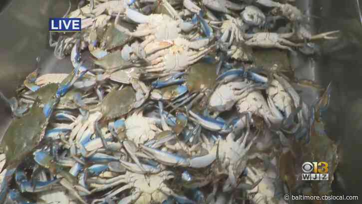 Where’s Marty? Kicking Off Memorial Day Weekend With Jimmy’s