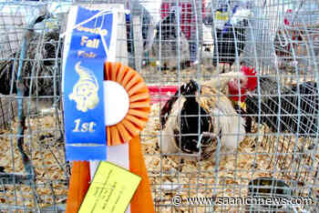 Volunteers needed for Sooke Fall Fair – Saanich News - Saanich News