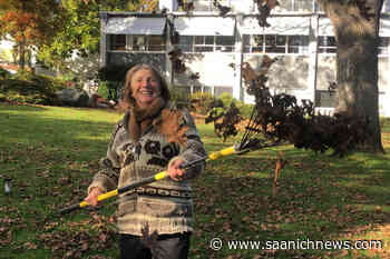 Oak Bay embarks on countdown to residential leaf blower ban - Saanich News
