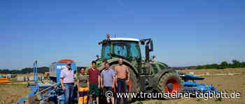 Traunreut: Wildblumen per GPS ausgesät - Traunsteiner Tagblatt