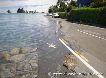 Coastal Cities are Sinking as Sea Levels Rise