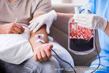 Can Young-Blood Infusions Reverse the Aging Process?