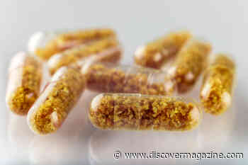 A Promising Treatment for Mental Disorders: Fecal Matter Transplants