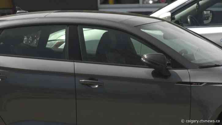 Calgary Humane Society rescues 5 dogs from hot car