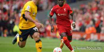 Champions League: Liverpool gegen Real Madrid live im Internet schauen - FOCUS Online