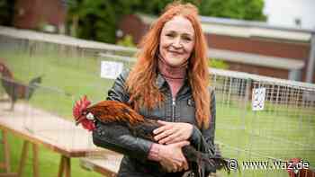 Essen: Älteste Hühnerrasse Deutschlands kräht um die Wette - WAZ News