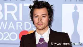 Zu One-Direction-Zeiten: Harry Styles schämte sich für Sex - Promiflash.de