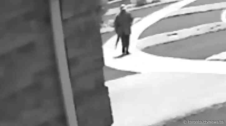 New video appears to show man killed by Toronto police carrying air rifle before shooting