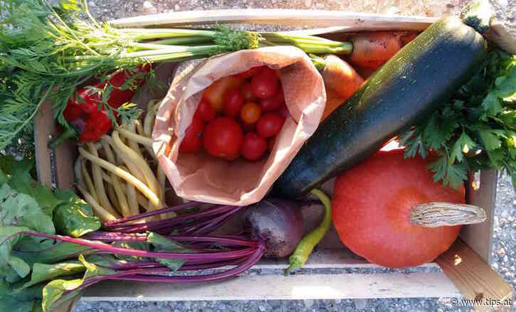 TAUFKIRCHEN. Die „LangLebenHof Permakultur” liefert wöchentlich Gemüsekisten, die in Form von kleinen oder großen Ernteanteilen jeden Freitag bequem in den Ortszentren in Schärding, Andorf, Taufkirchen, Münzkirchen und Schardenberg abgeholt werde