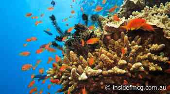 Coles commits $10 million to Great Barrier Reef protection - Inside FMCG