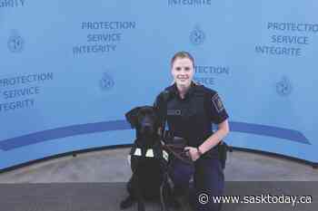 North Portal CBSA officer recognized as woman in policing - SaskToday.ca