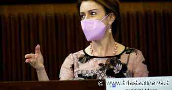 Sanità, Piccin (FI): “Avviare creazione Case dei risvegli anche in... - Trieste News
