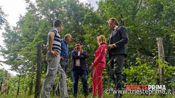 Metanodotto Mestre-Trieste, c'è l'accordo Snam-Kante: si cambia il tracciato - TriestePrima