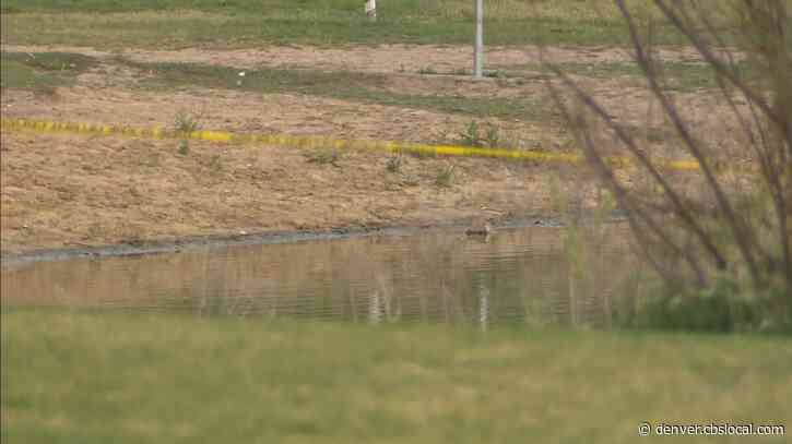 2-Year-Old Boy Drowns At Aurora Pond