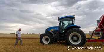 Agrotokens Let Farmers Turn Surplus Grain Into Tangible Cryptocurrency - Worldcrunch