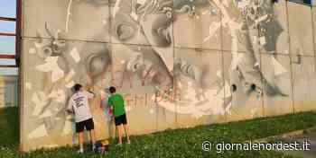 Oderzo/invettiva contro Draghi rimossa dalla parete del PalaMasotti dagli atleti della Handball – Giornale Nord Est - giornalenordest