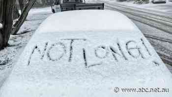 'Goldilocks' dump of snow on the way brings new hope after COVID-blighted ski seasons