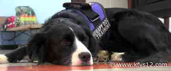 Alma Schrader’s school nurse adopts therapy dog for students - KFVS