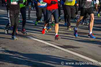 Promozione dell'attività motoria: appuntamenti anche a San Felice e Carpi con "Giugno in movimento" - SulPanaro