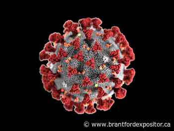 Brantford-Brant COVID-19 hospitalizations decrease - Brantford Expositor