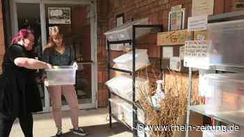 Koblenzer Initiative rettet Essen: Hier werden Lebensmittel einfach geteilt - Rhein-Zeitung