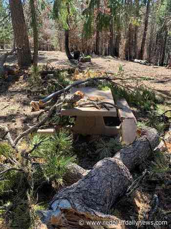 Forest officials close additional campgrounds ahead of Memorial Day - Red Bluff Daily News