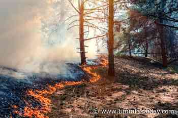 There are 4 active forest fires in the region - TimminsToday