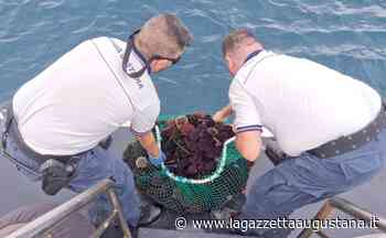 Augusta, pescano ricci di mare in pieno fermo biologico: scatta la multa – La Gazzetta Augustana - La Gazzetta Augustana.it