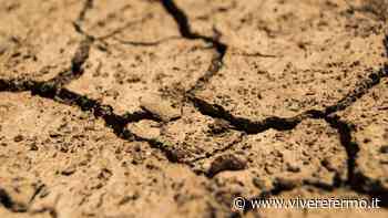 Coldiretti Ascoli Fermo, è allarme siccità nelle campagne: “A rischio coltivazioni e allevamenti” - Vivere Fermo