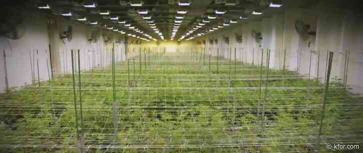 2-year moratorium on Oklahoma medical marijuana grower licenses begins Aug. 1