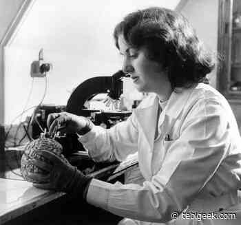 Come decenni di cattiva scienza hanno creato una massa di miti urbani e di cosa possiamo fidarci ora - - Tebigeek