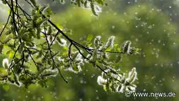 Biowetter Marl heute und morgen: Belastung durch Pollen und Wetterwechsel aktuell am 28.05.2022 - m.news.de