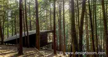 jacobschang architecture's 'half-tree house' seems to float among the woods - Designboom