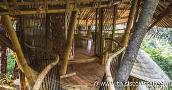 'Bamboo Contemporary' Spotlights 14 Designs Advancing Sustainable Architecture Around the World - Colossal